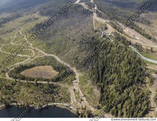 background nature forest High Tatras 0010